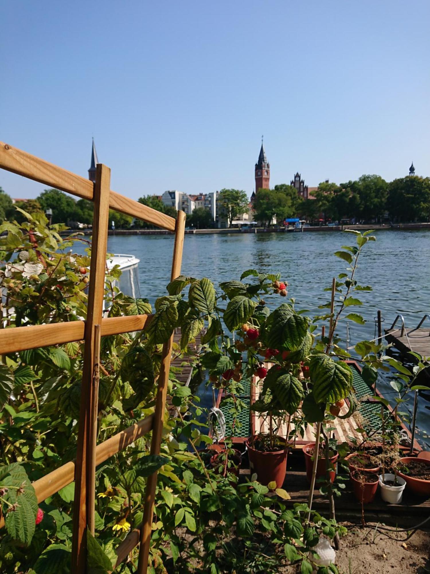 Ferienwohnung Dahme Berlin Am Wasser Eksteriør bilde